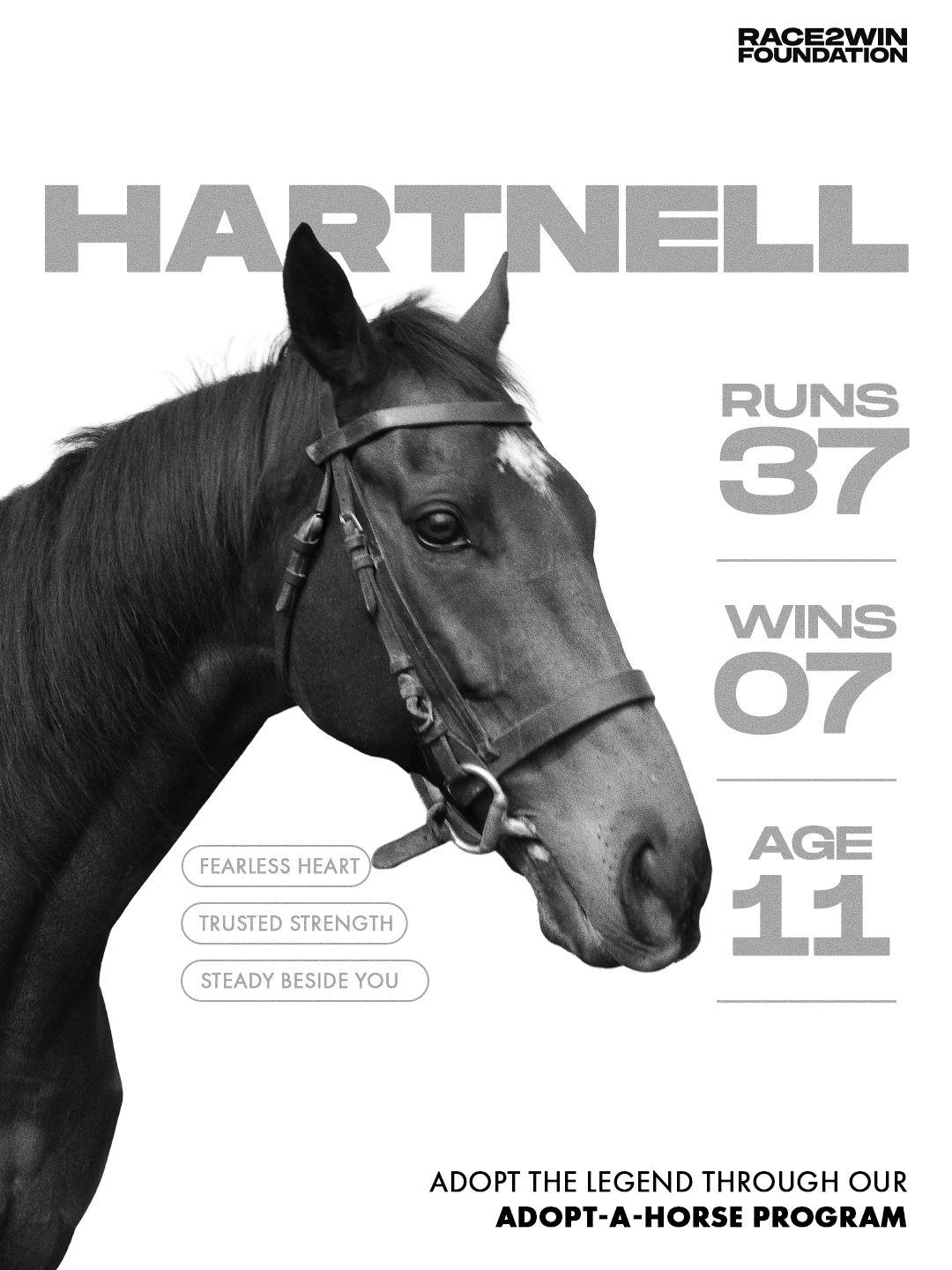 Race2Win visual 3
