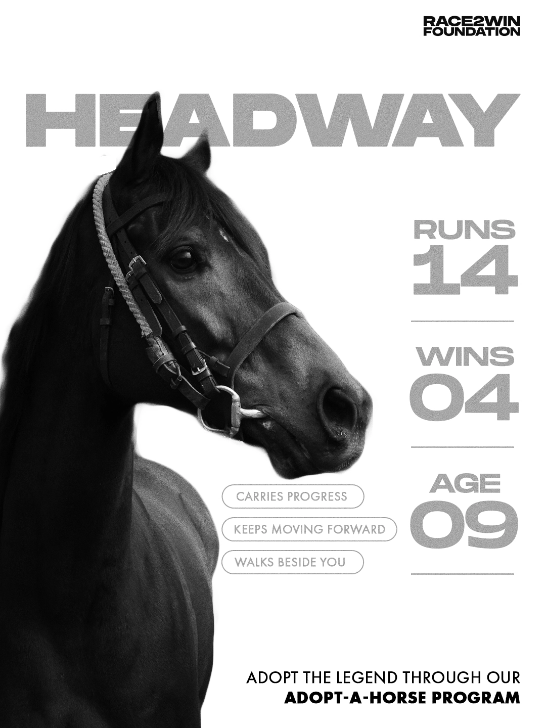 Race2Win visual 4