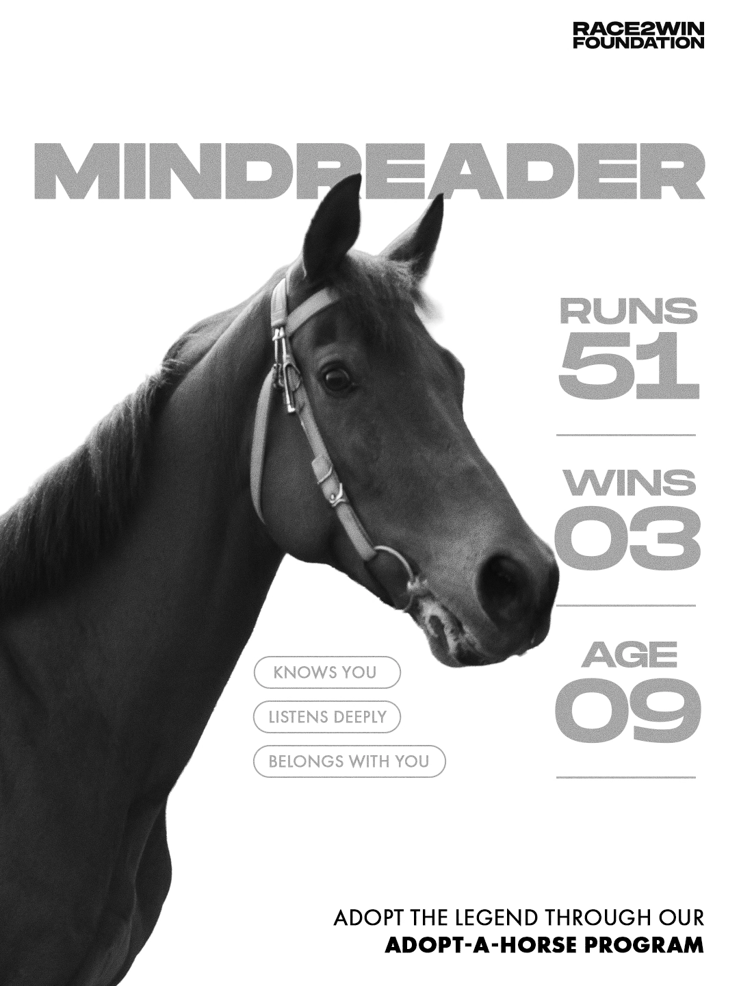 Race2Win visual 4