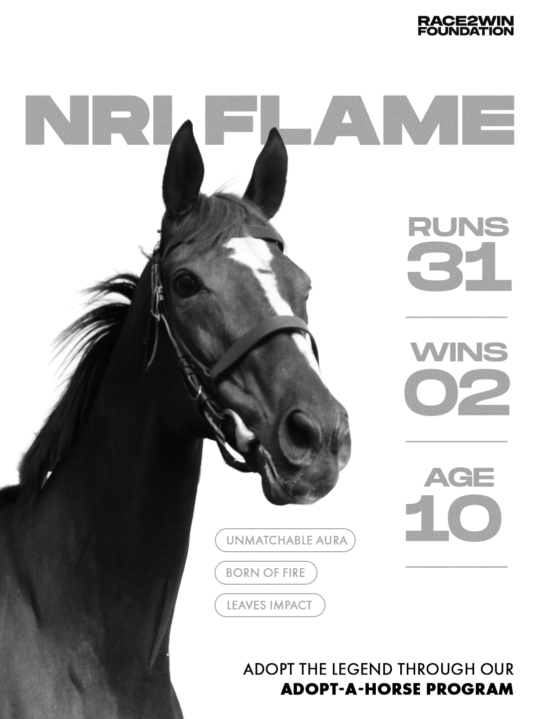 Race2Win visual 3