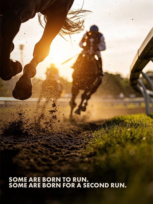 Race2Win visual 4