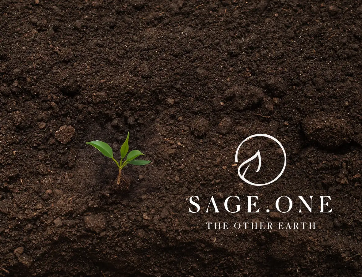 Sage Living visual 2