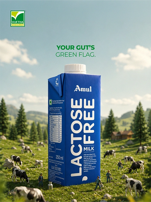 Vijetha Supermarkets visual 12
