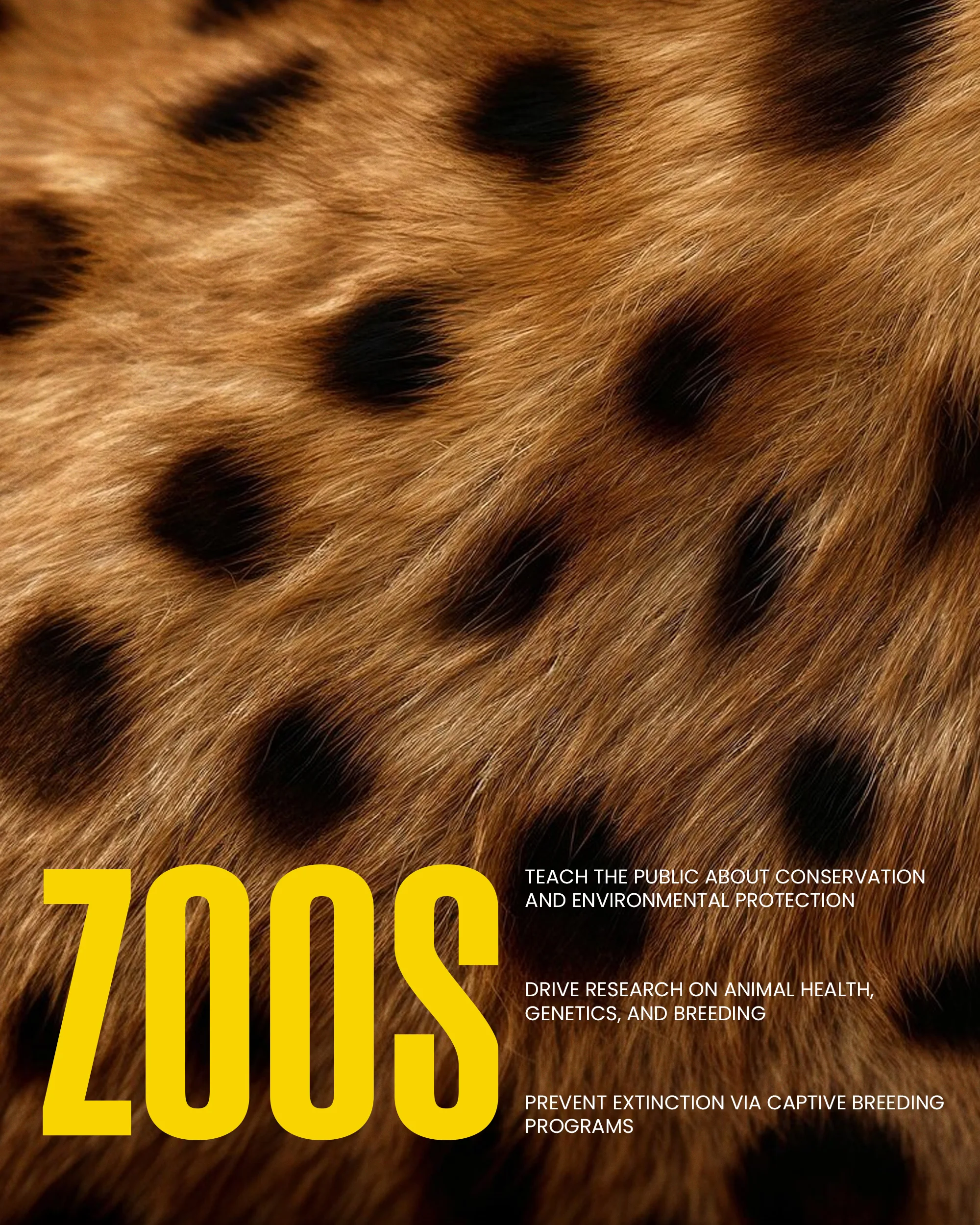 Hyderabad Zoo visual 7